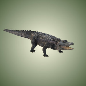 3ds max american alligator