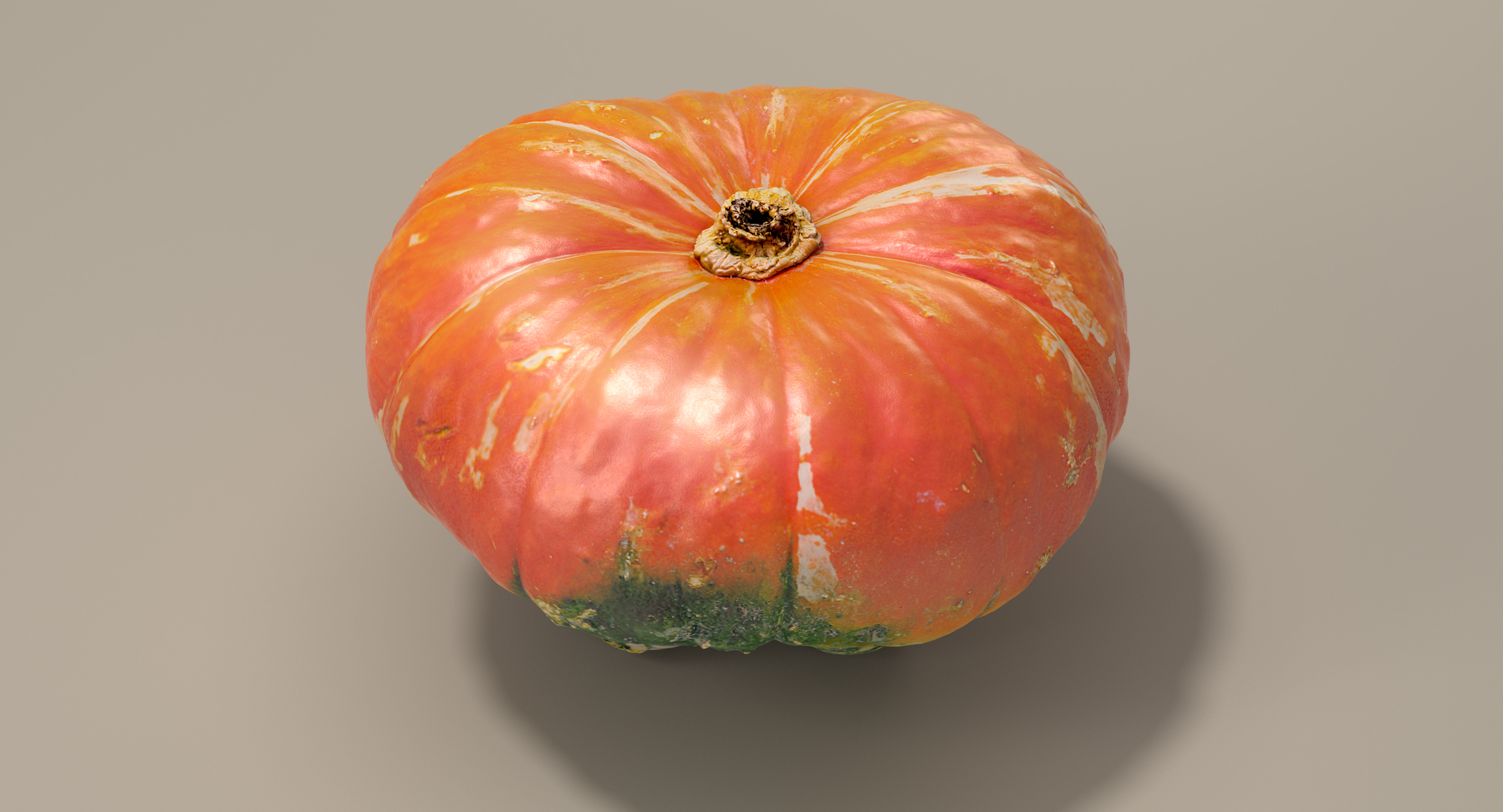 orange turban squash pumpkin