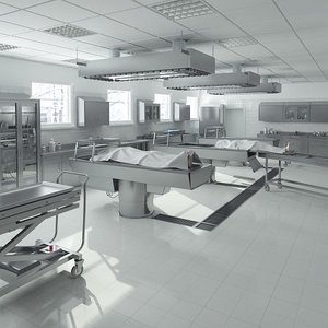 anatomy autopsy laboratory equipment 3d model