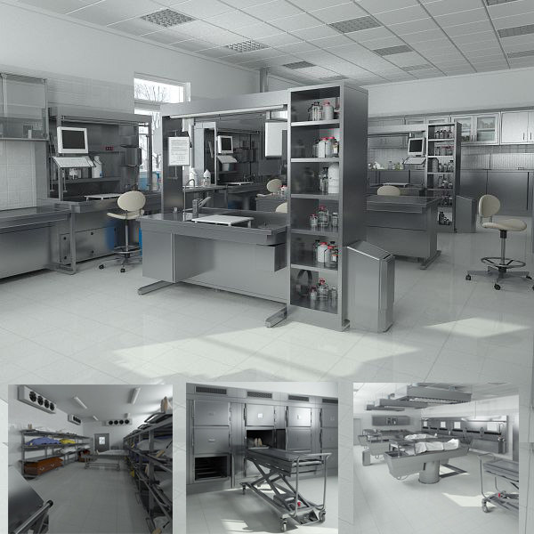 big hd anatomy laboratory equipment 3d model