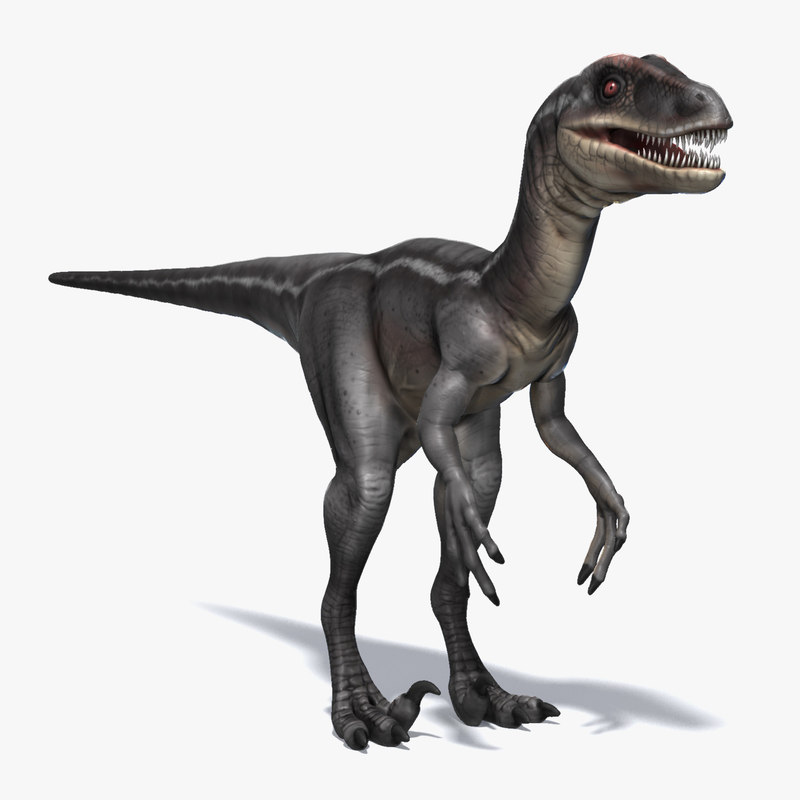 3d model raptor carnivore