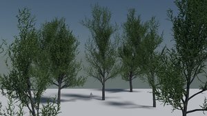 3d model of elm tree pack