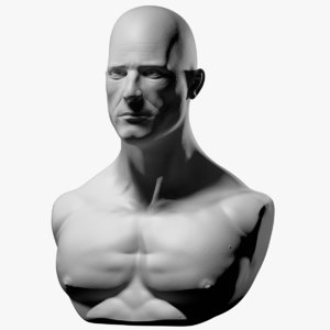 3d male bust model
