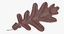 brown oak leaf 03 3d max