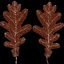 brown oak leaf 03 3d max