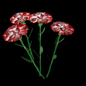 3d max carnation flower