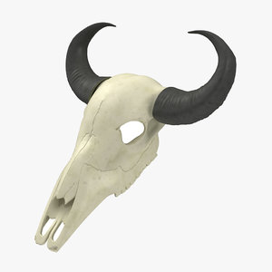 max buffalo skull