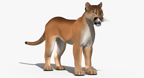 cougar cartoon puma 3d model