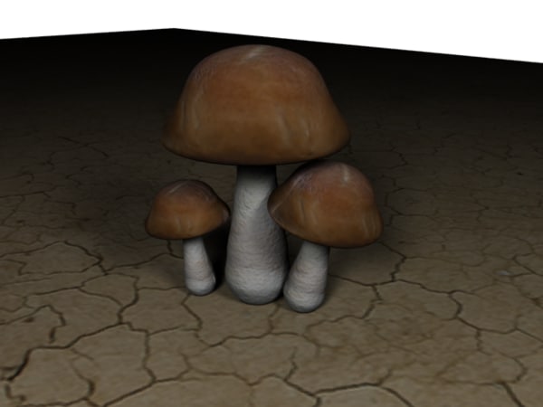 Free 3d Mushroom Models Turbosquid 