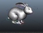 3d rabbit model