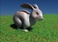 3d rabbit model