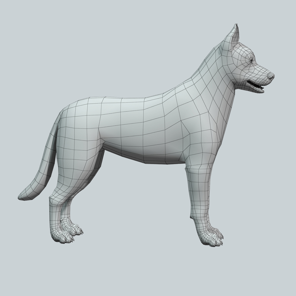 西伯利亚雪橇犬(fur)3d模型