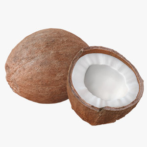 coconuts polys 3d model