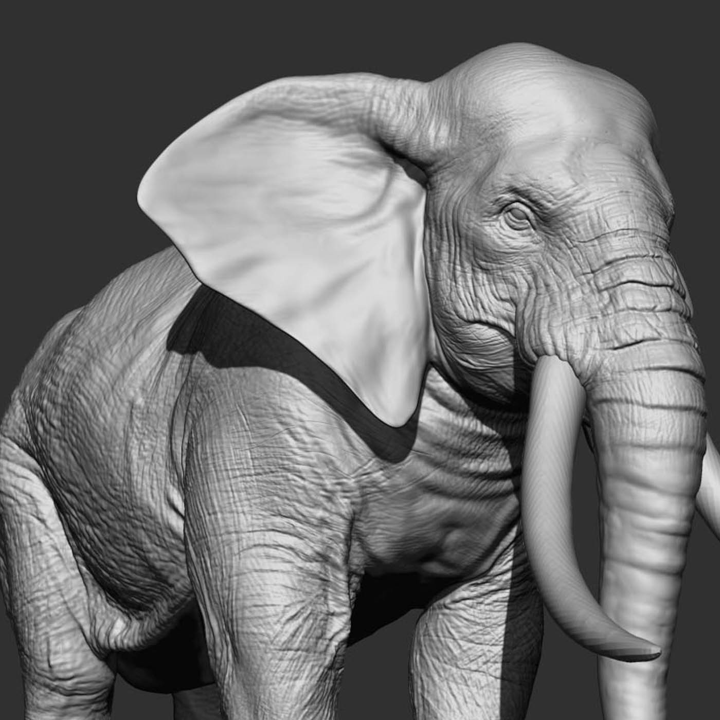 elephant zbrush