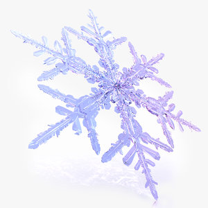 max snow flake snowflake