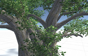 3d model of tree set