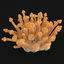 3d model coral