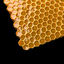 honey honeycombs 3d max