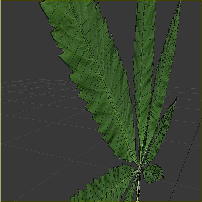 cannabis leaf  3d  3ds