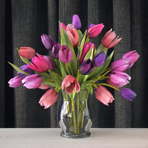 bouquet tulips 3d max