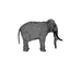 basemesh elephant uvs 3d obj