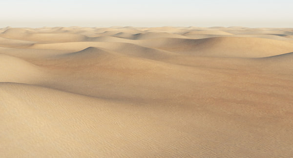 Max Desert Sand