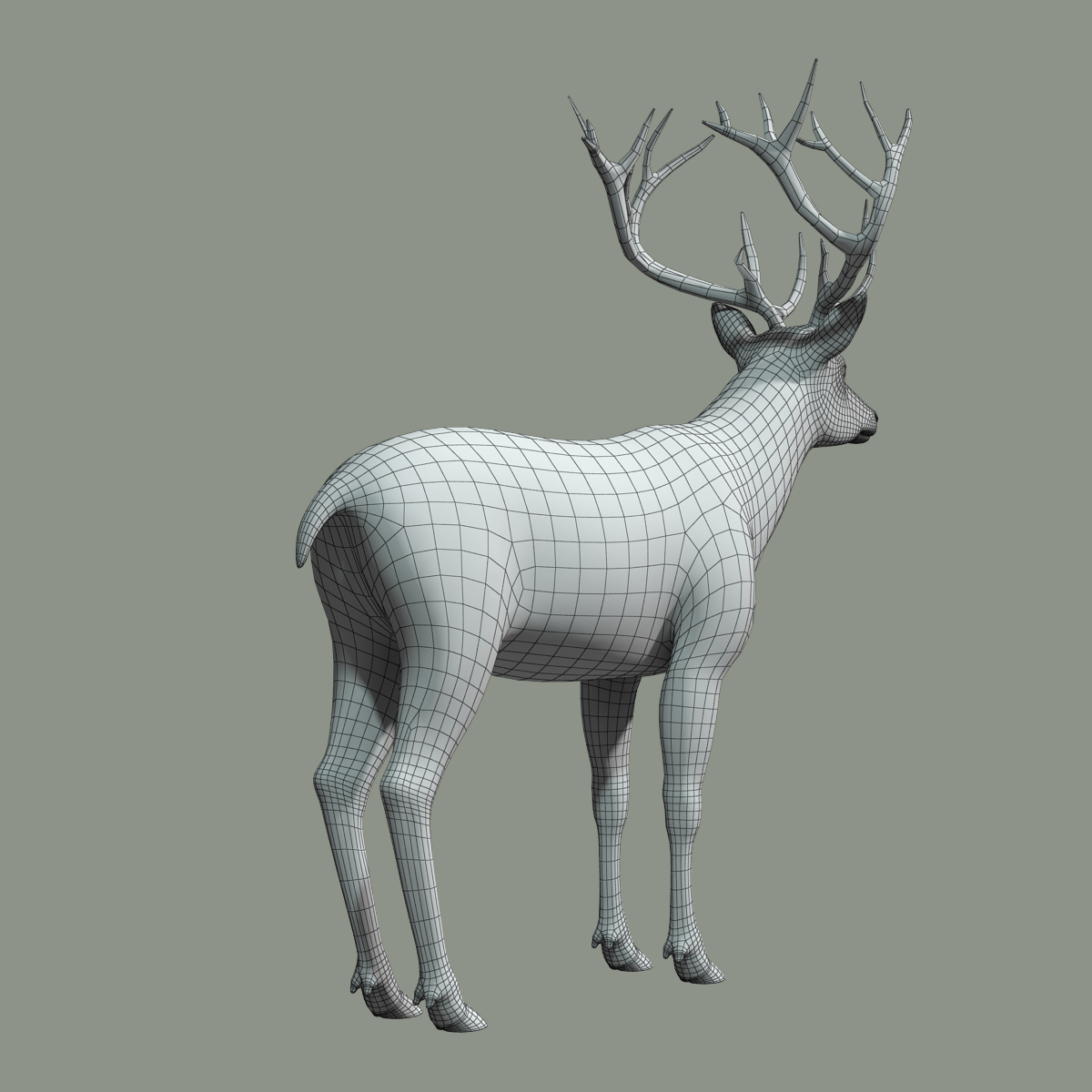 红鹿雄鹿(2(fur(rigged)3d模型