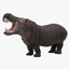 hippopotamus hippo mammal animal 3ds