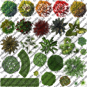 27 Trees and Shrubs  TopViews Collection