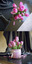 flowers pack 3d model