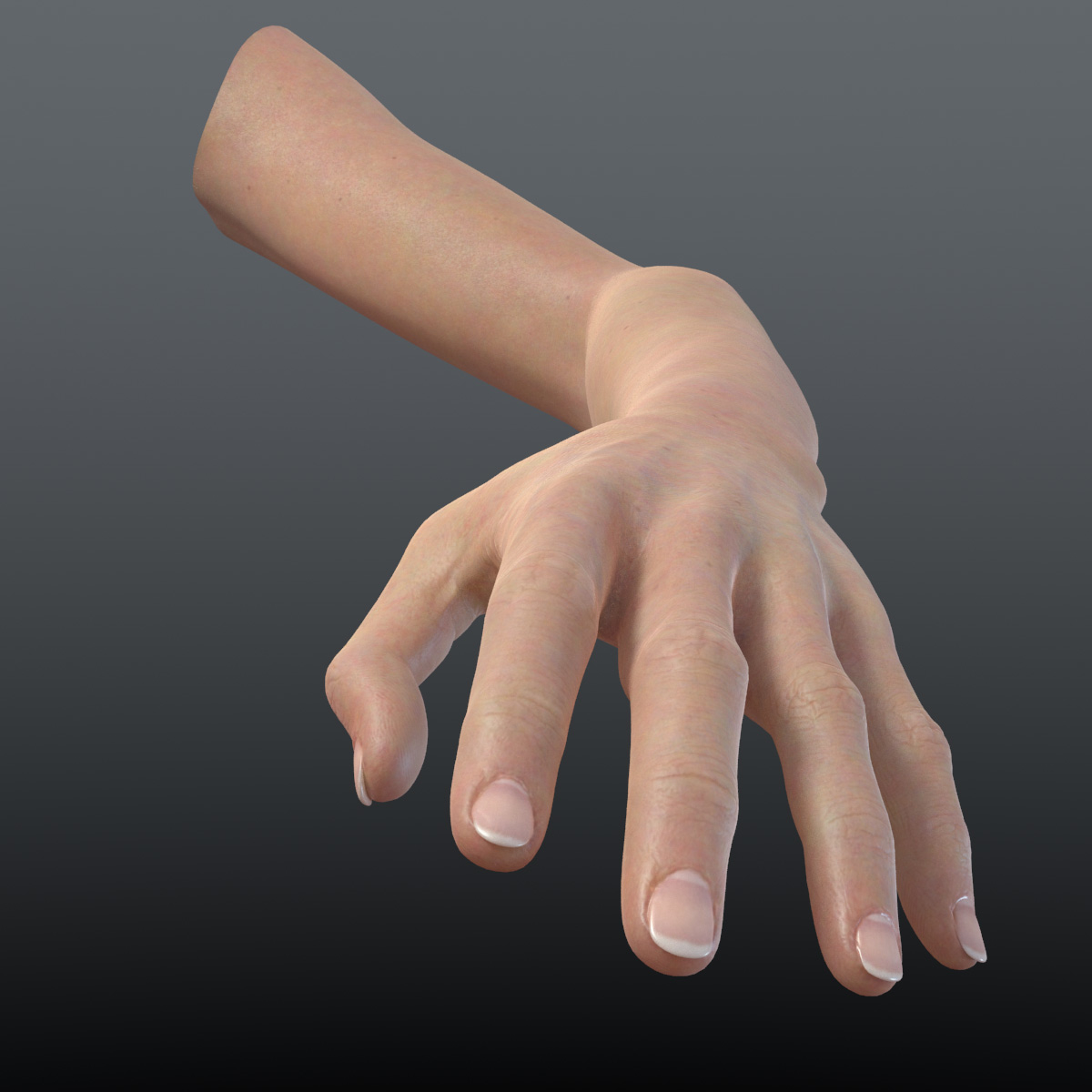 Fbx Realistic Womans Arms