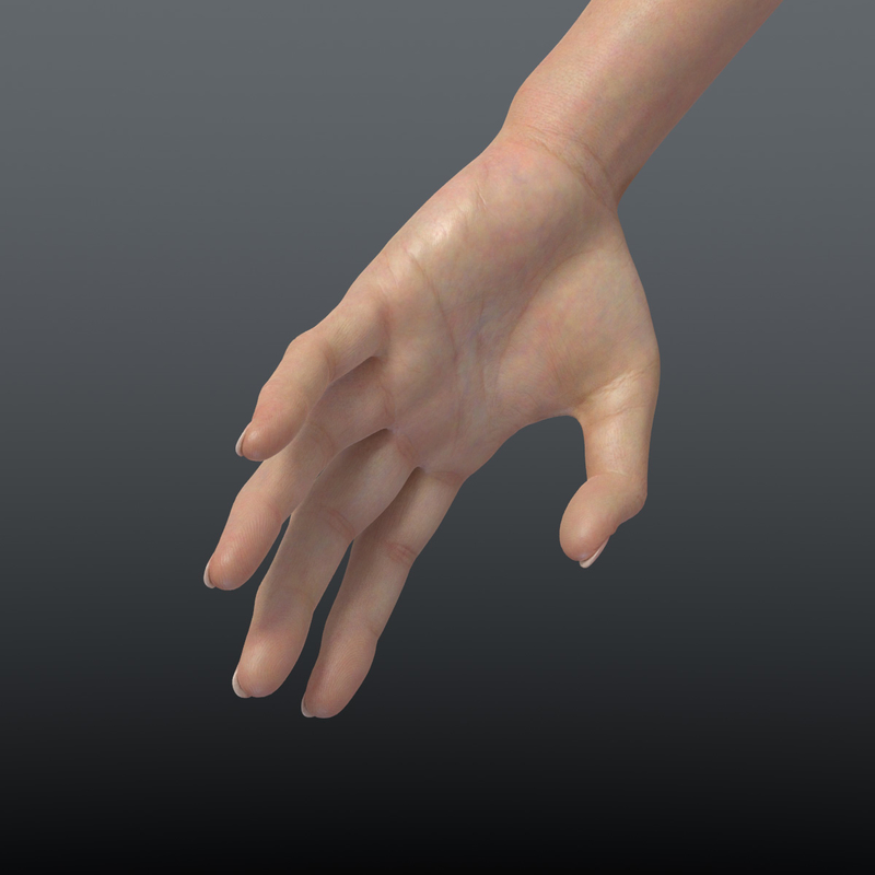 Fbx Realistic Womans Arms