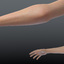 fbx realistic womans arms