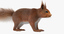 squirrel red fur 3d model