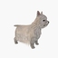 3d dog white terrier model