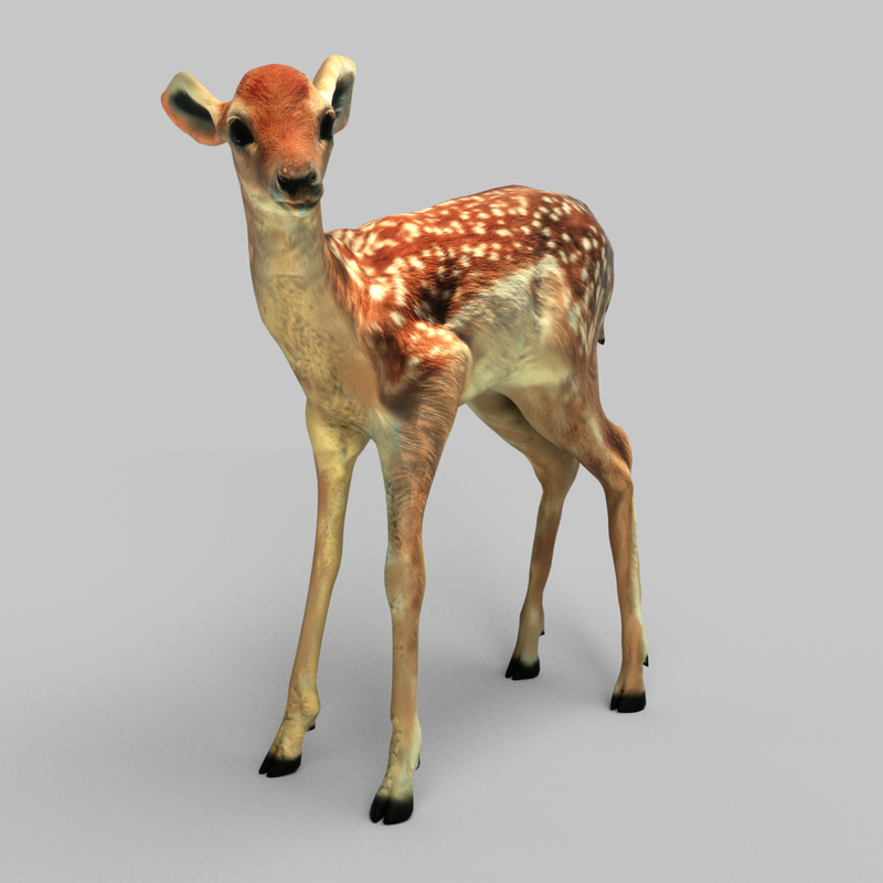 fawn obj