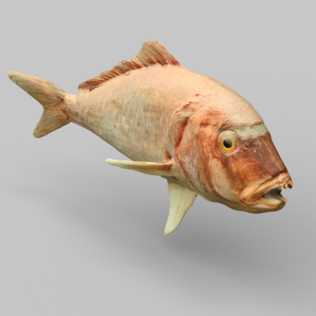 Prähistorischer Fisch 3D-Modell - TurboSquid 816563