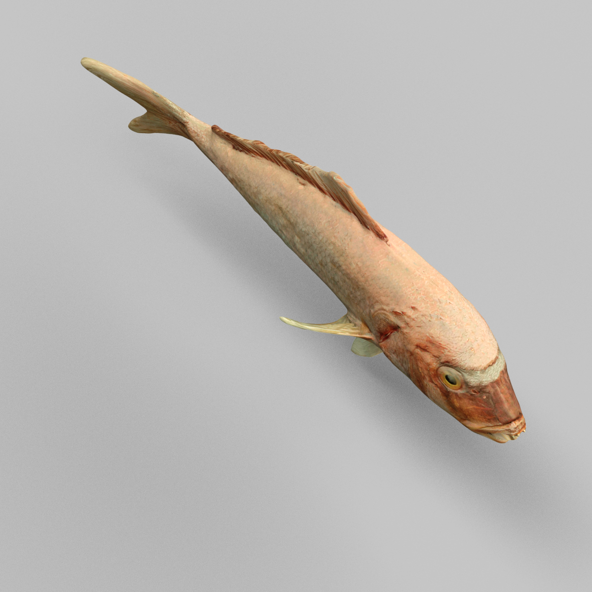 Prähistorischer Fisch 3D-Modell - TurboSquid 816563