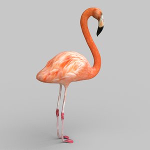 pink flamingo 3d fbx