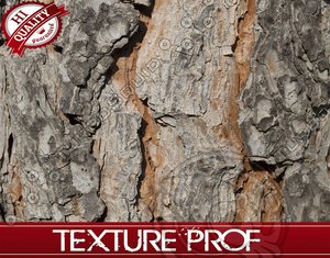 High Detail Bark Reference