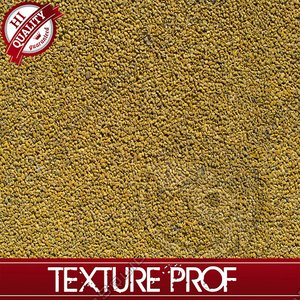 Walking Ground Road Seamless Texture