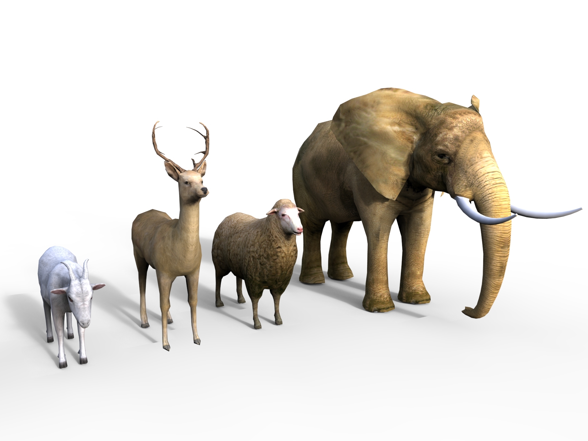 8 animal 3d model