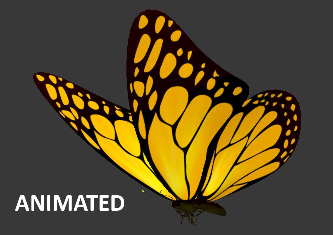 Download Loop Animation Flying Butterfly Max