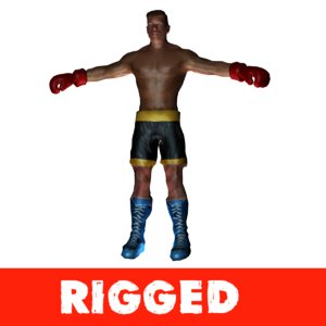 3d boxer model