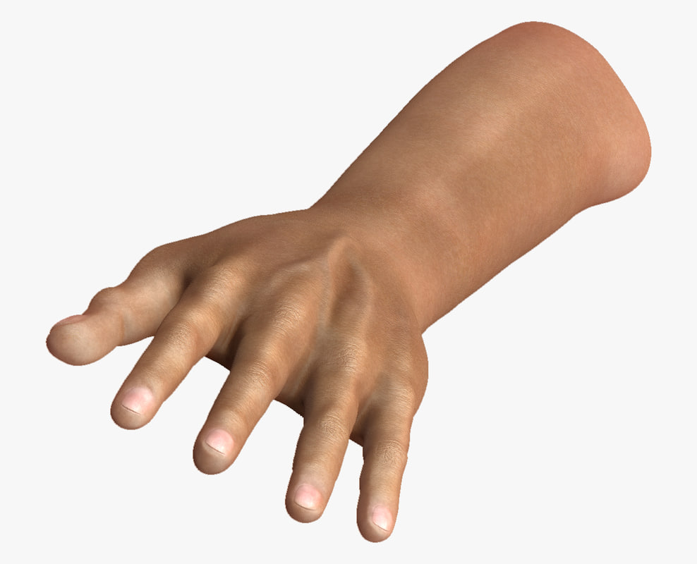 poseable hand 3d model online