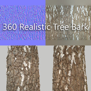 3d model 360 tree bark
