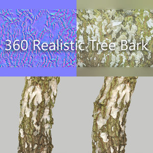 3d 360 tree bark