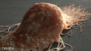 3d extremely photorealistic attached cell