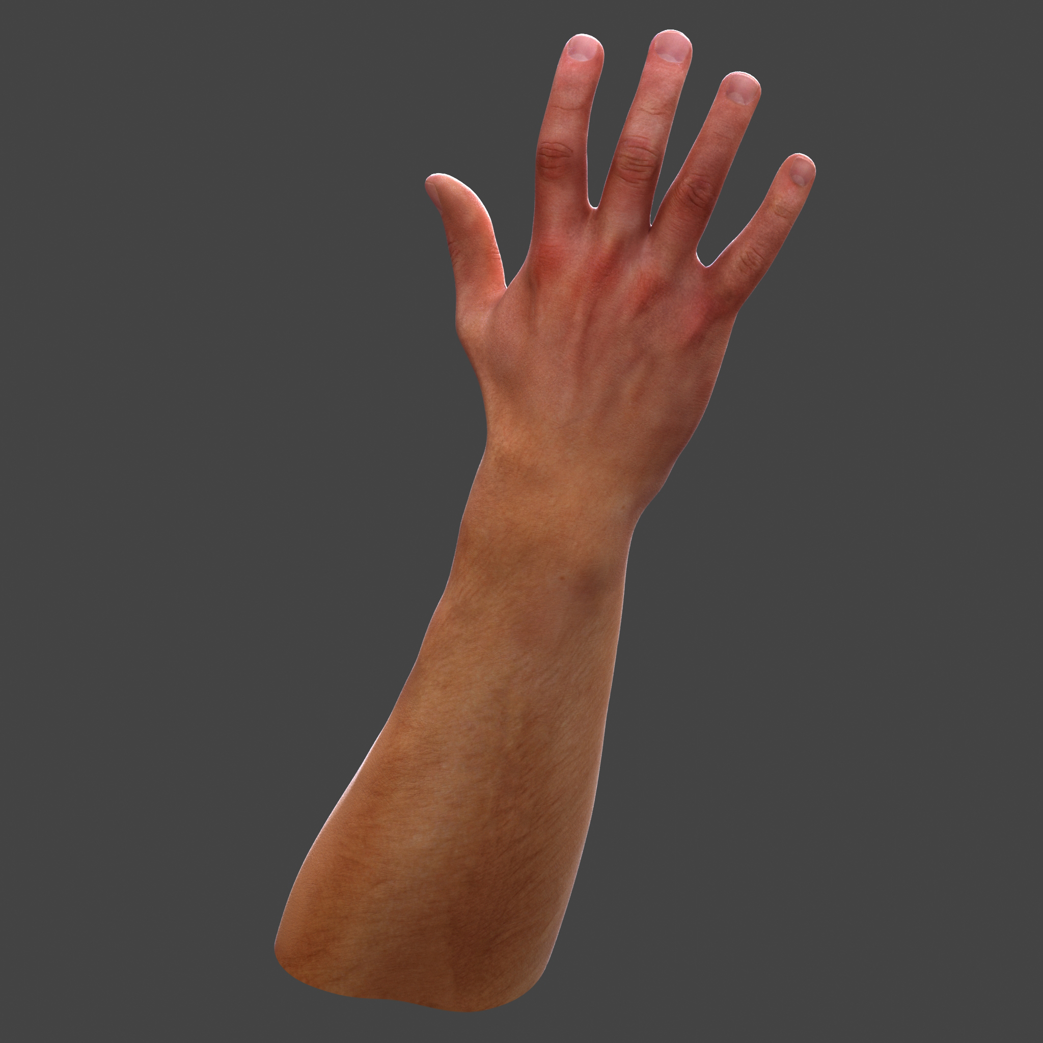 3d model human hand arm