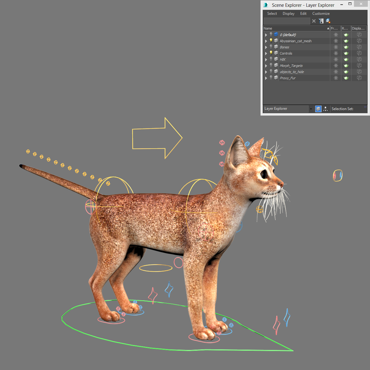 3d model abyssinian cat fur rigged